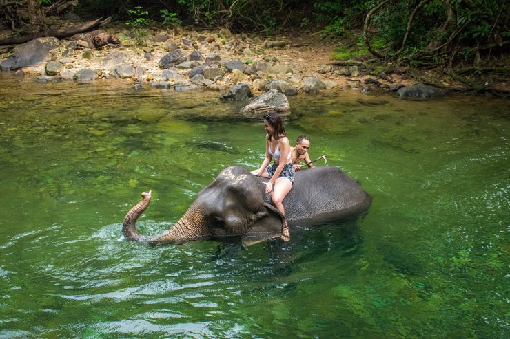 ขี่ช้าง ชมธรรมชาติ - Image 2