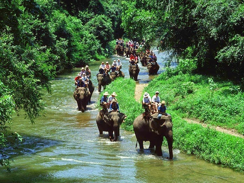 ขี่ช้าง ชมธรรมชาติ - Image 3